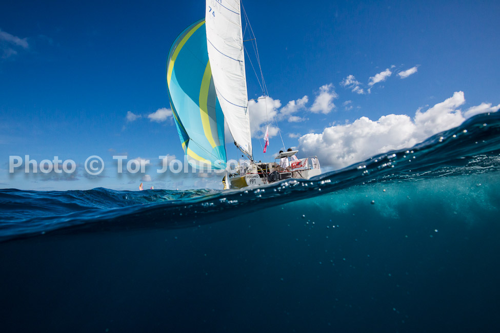 Image Name: N40A6547