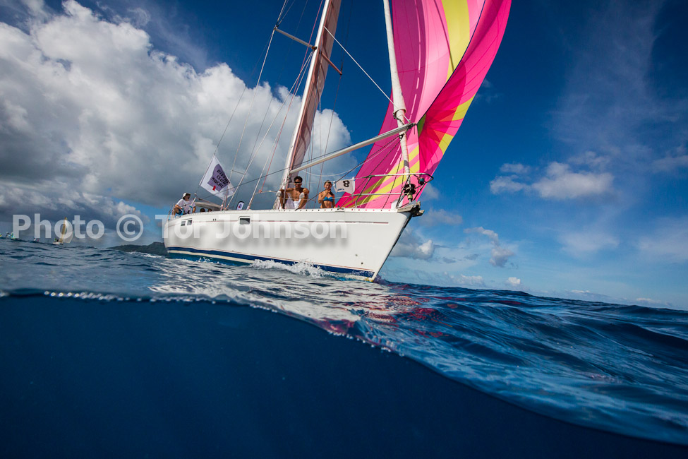 Image Name: N40A6564