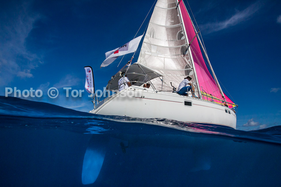 Image Name: N40A6570