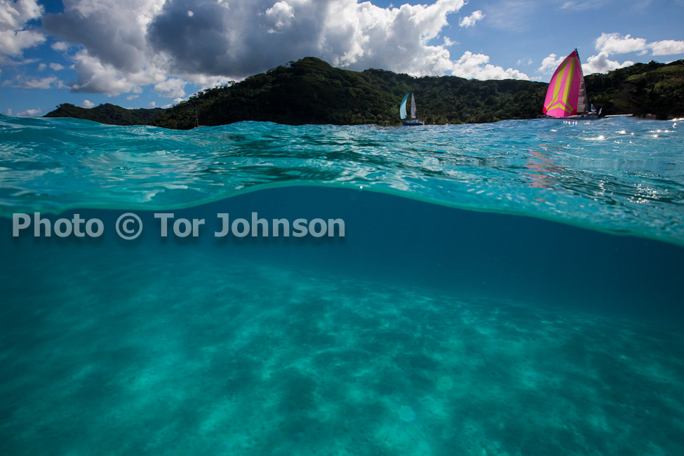 Image Name: N40A6576