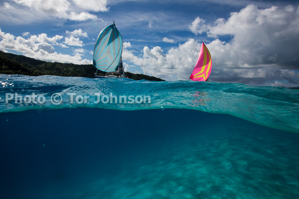 Image Name: N40A6600