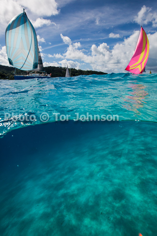 Image Name: N40A6604