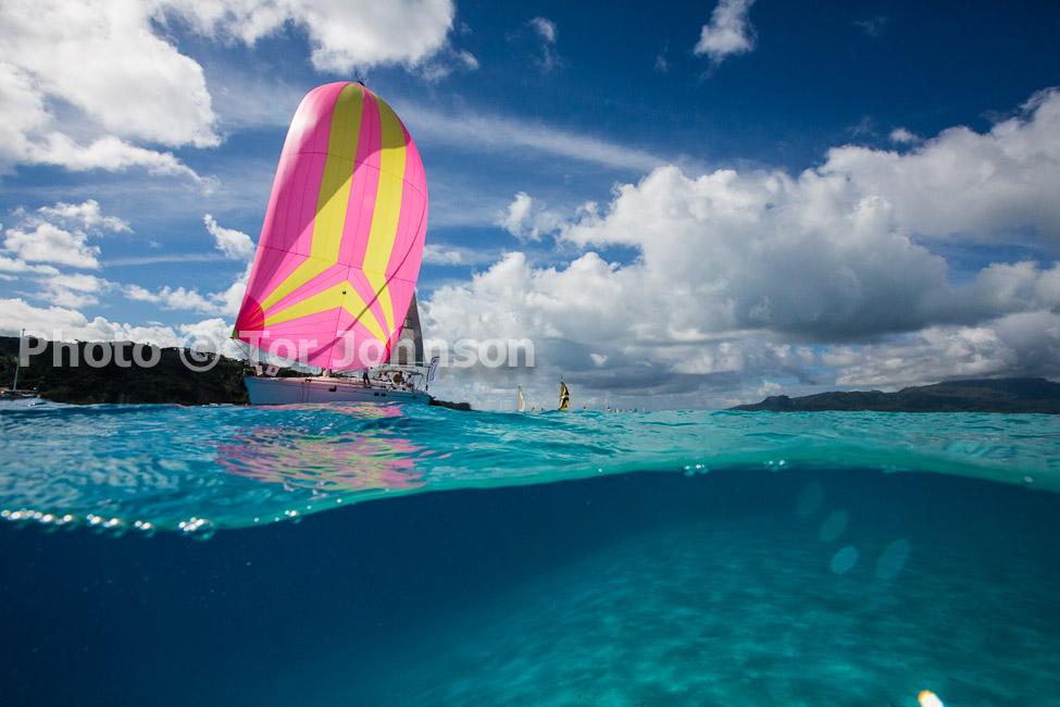 Image Name: N40A6610