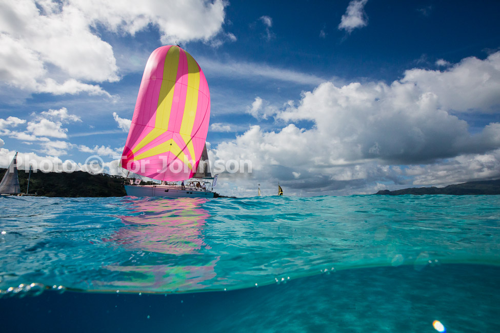 Image Name: N40A6613