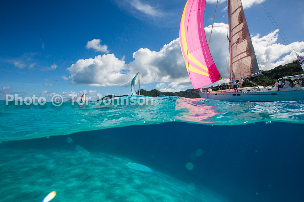 Image Name: N40A6620