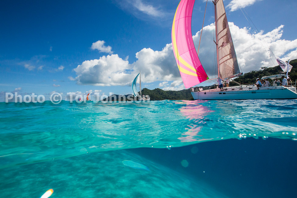 Image Name: N40A6624