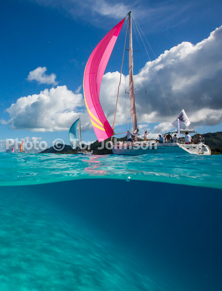 Image Name: N40A6634