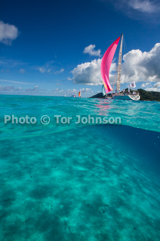 Image Name: N40A6635