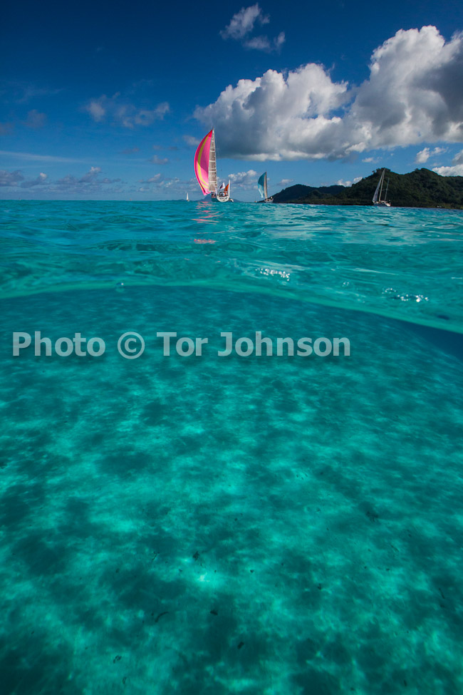 Image Name: N40A6638