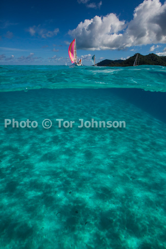 Image Name: N40A6639