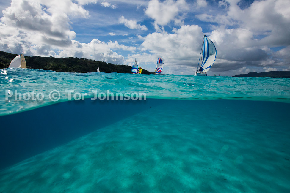 Image Name: N40A6658