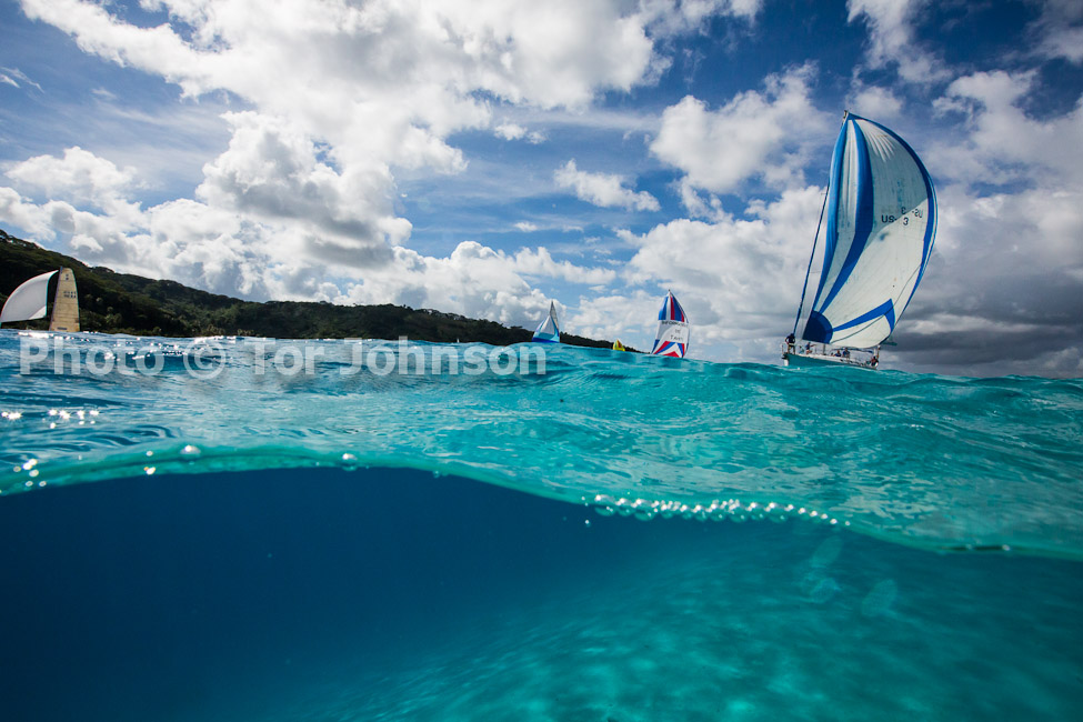 Image Name: N40A6661