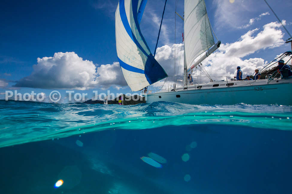 Image Name: N40A6683