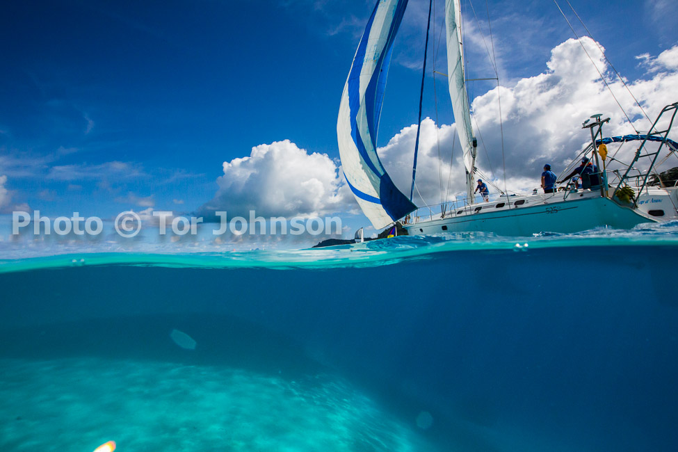 Image Name: N40A6685