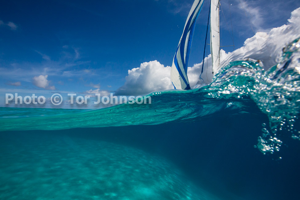 Image Name: N40A6686