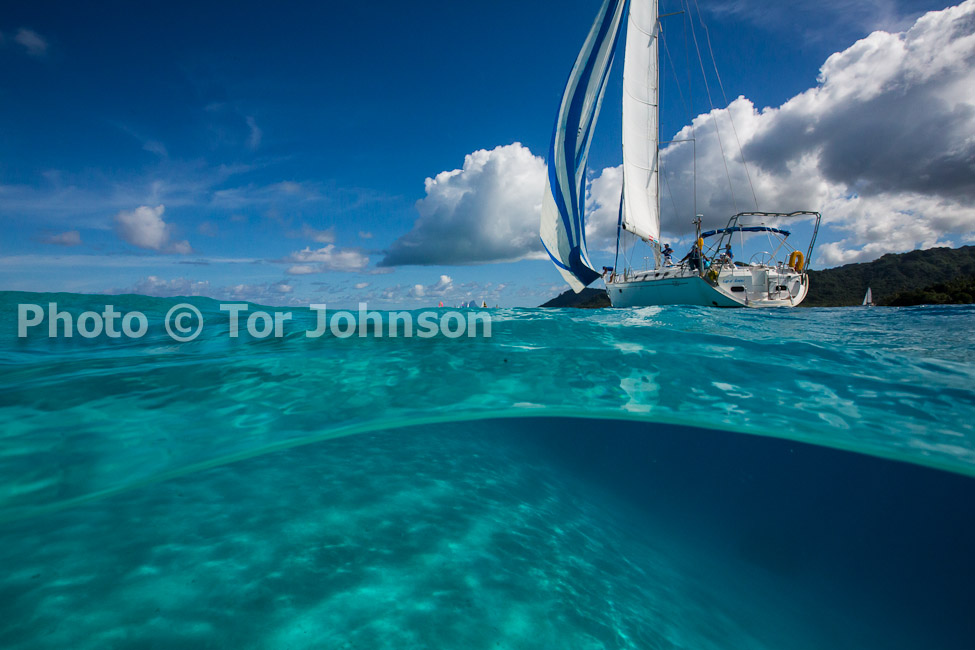 Image Name: N40A6689