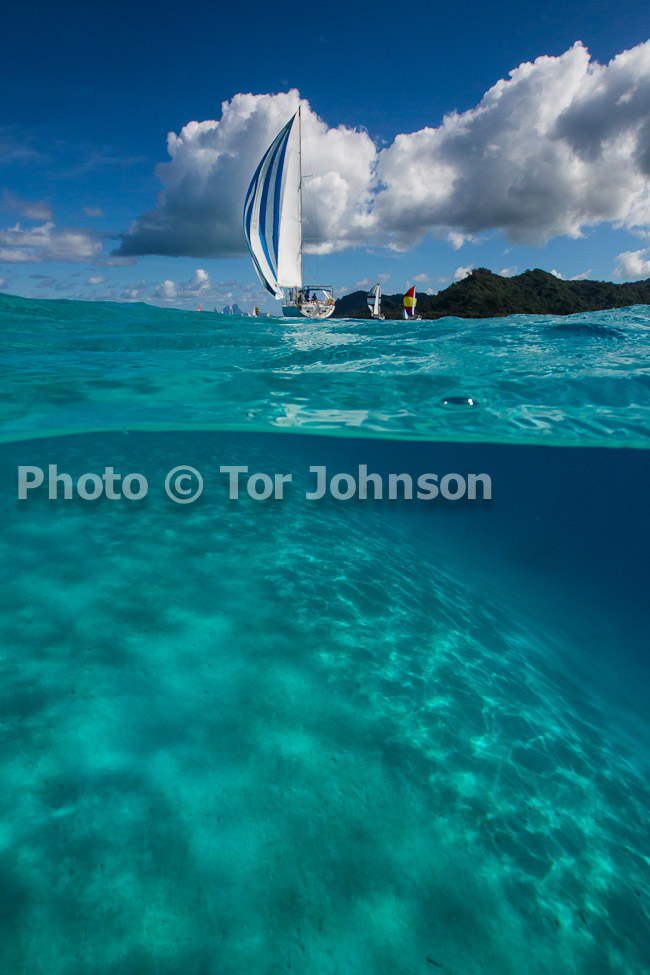 Image Name: N40A6694