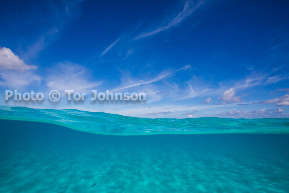 Image Name: N40A6703