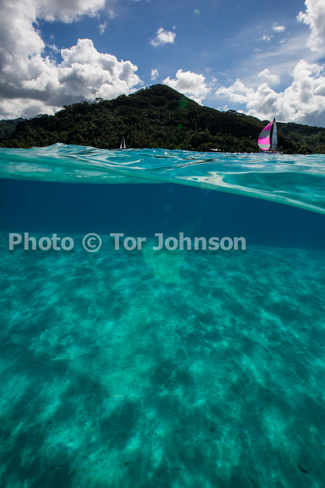 Image Name: N40A6704