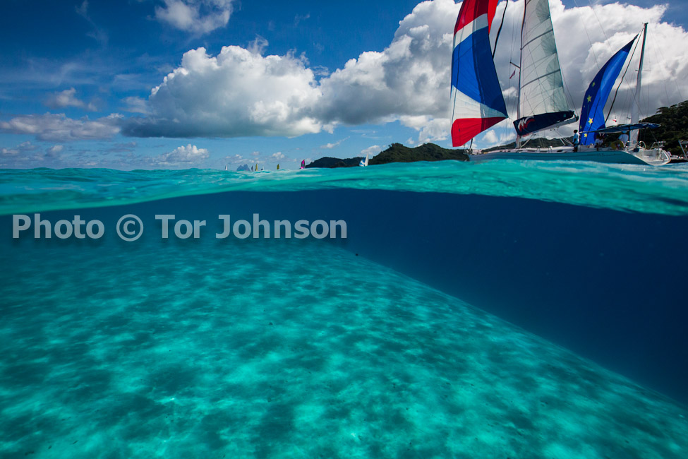 Image Name: N40A6742