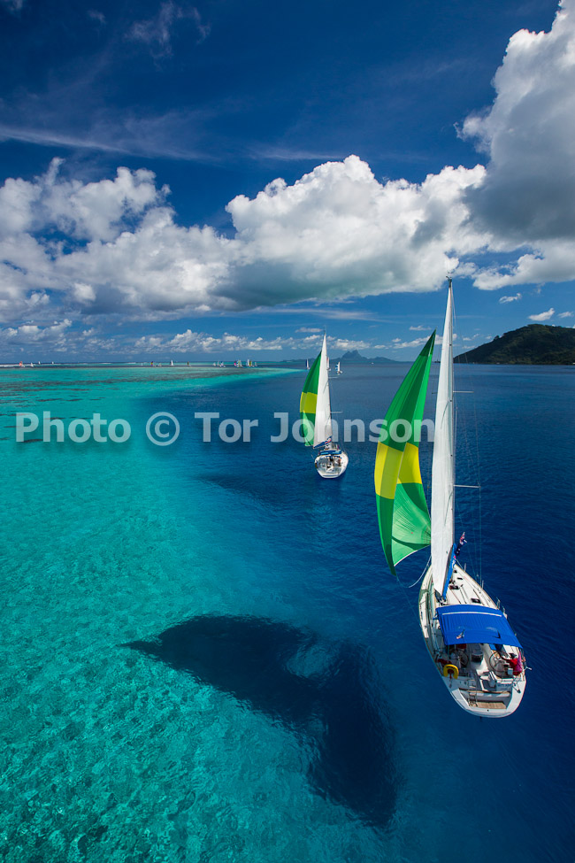 Image Name: N40A6771