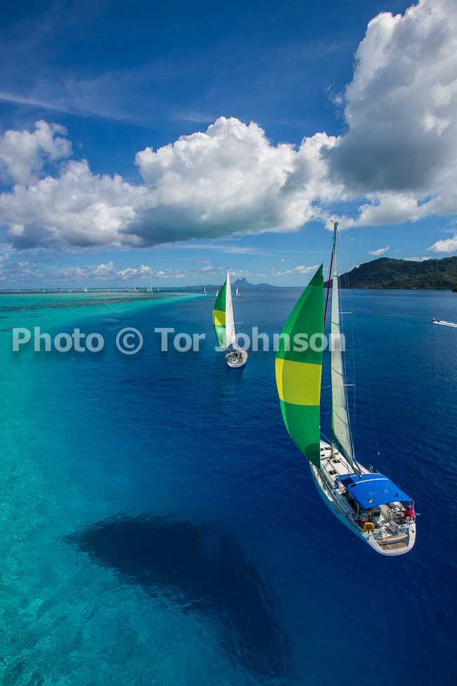 Image Name: N40A6773