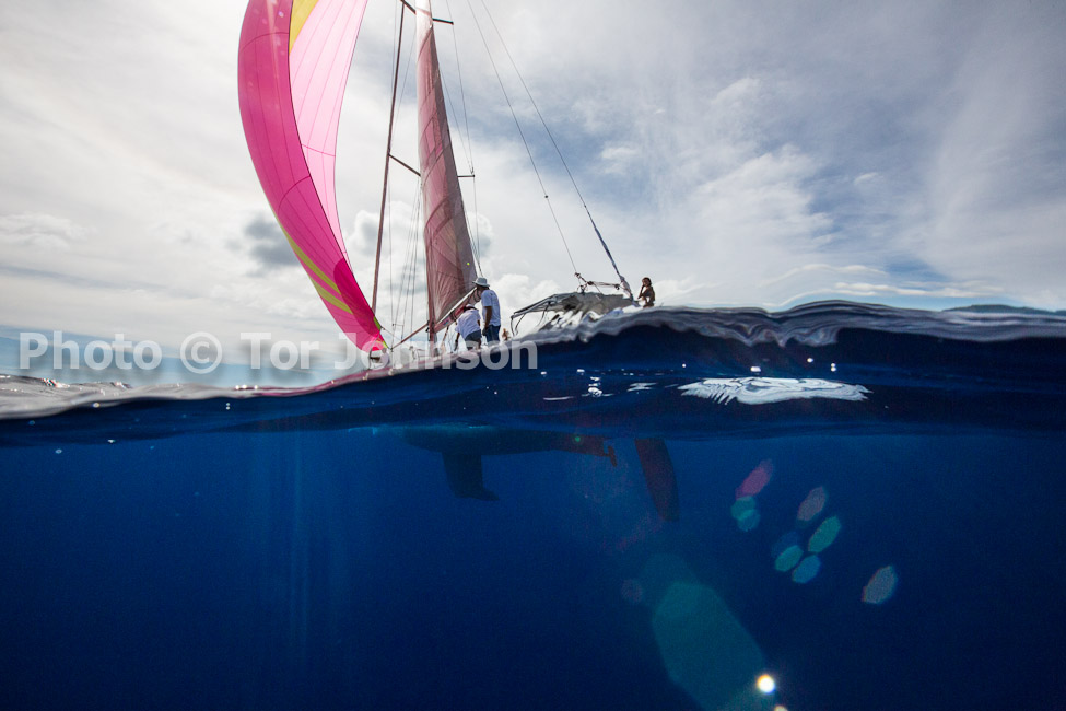 Image Name: N40A6874