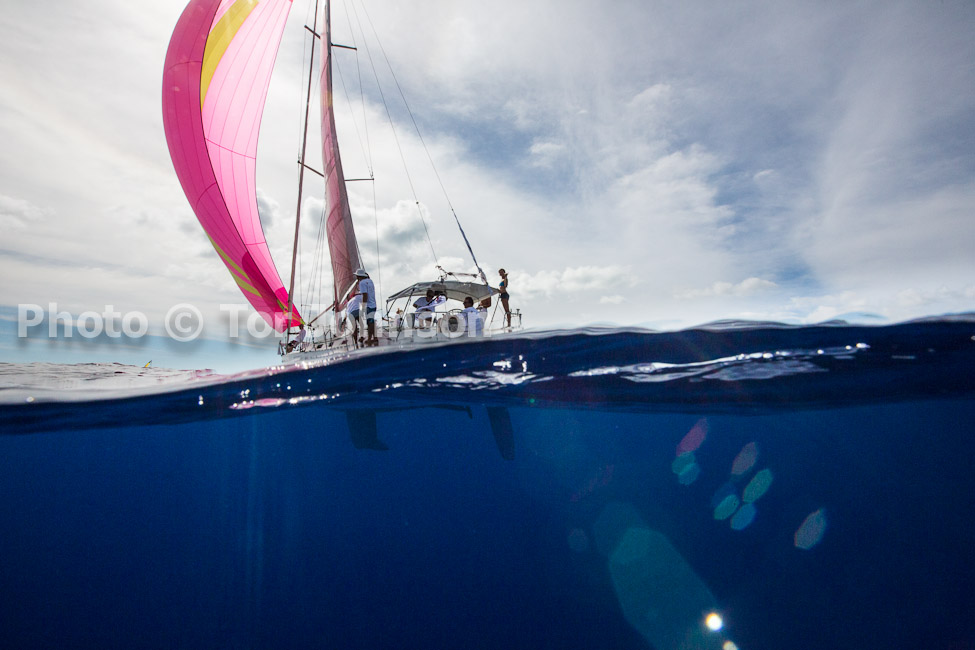 Image Name: N40A6875