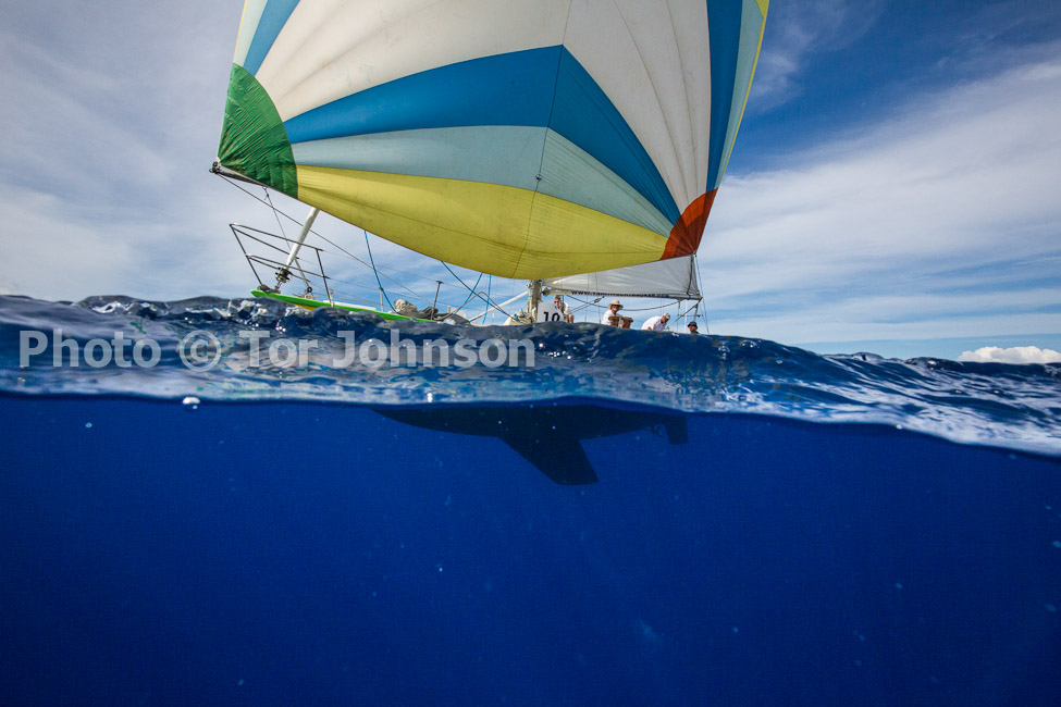 Image Name: N40A6905