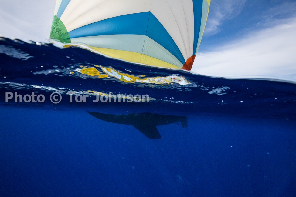 Image Name: N40A6906