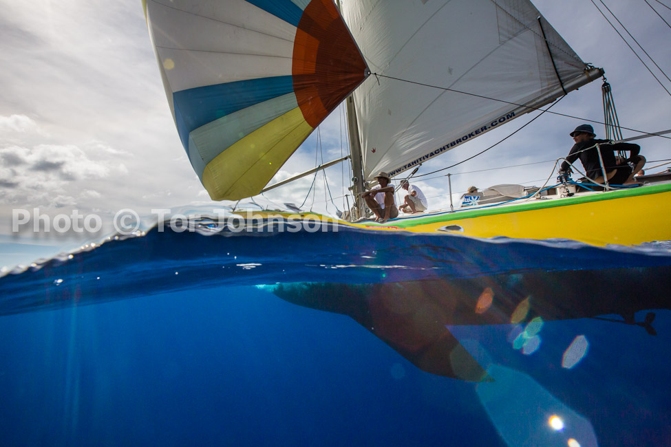 Image Name: N40A6912