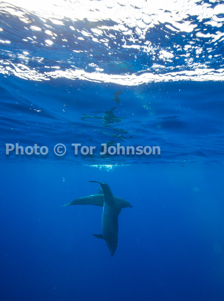 Image Name: N40A6981