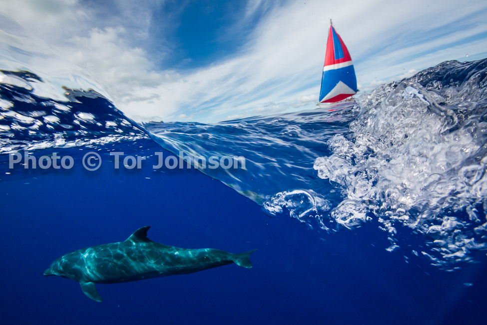 Image Name: N40A6998