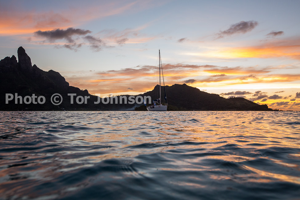 Image Name: N40A7077