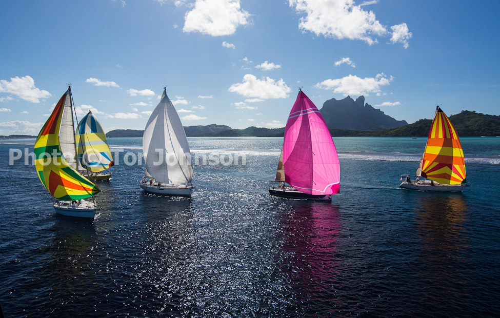 Image Name: N40A7172