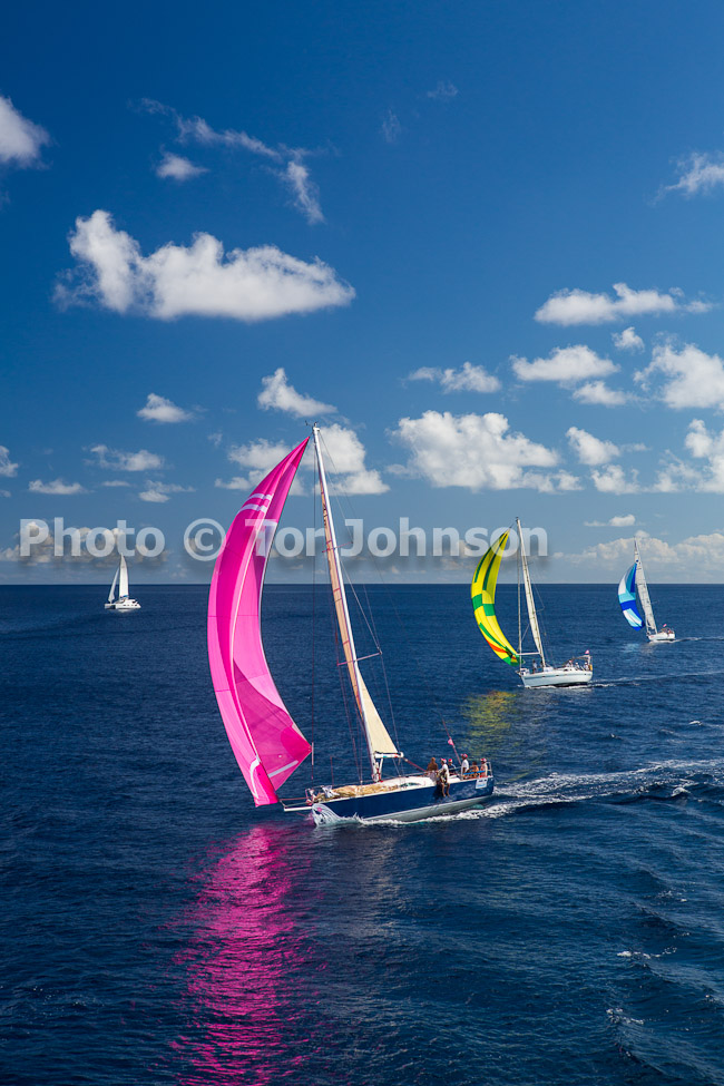 Image Name: N40A7177