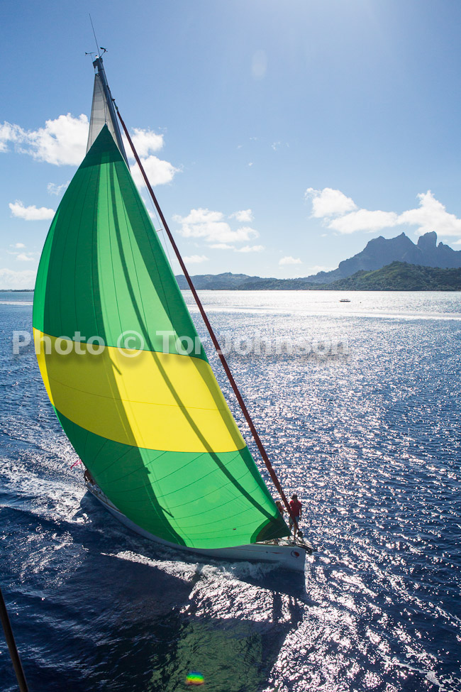 Image Name: N40A7196