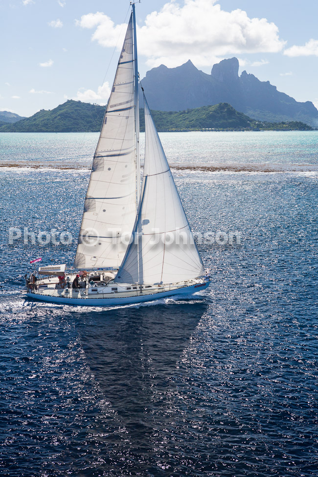 Image Name: N40A7219