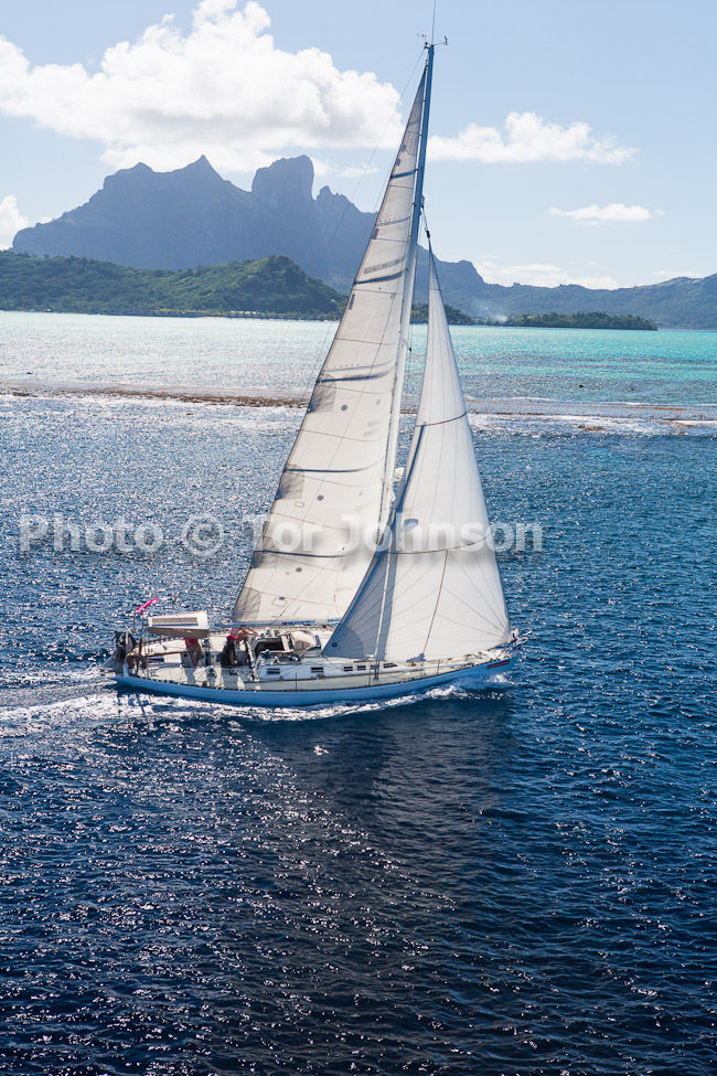 Image Name: N40A7221