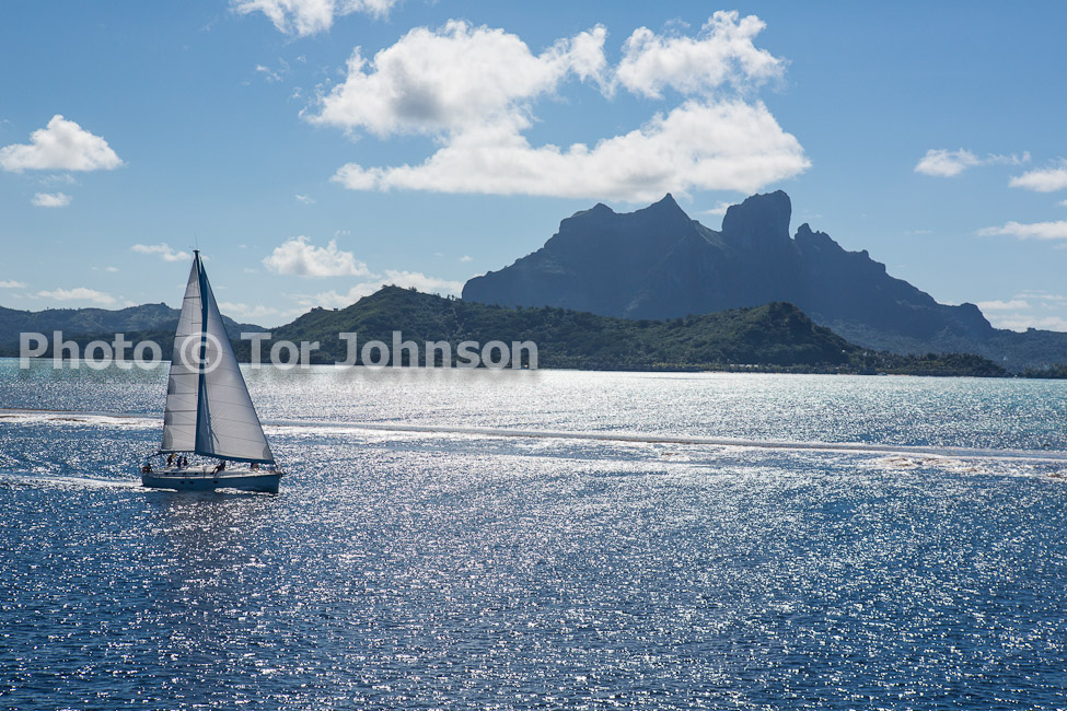 Image Name: N40A7233