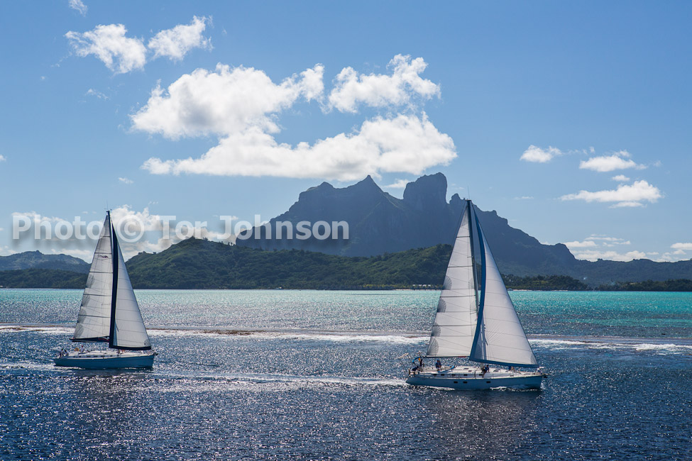 Image Name: N40A7237