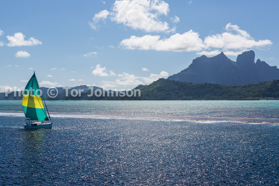 Image Name: N40A7245