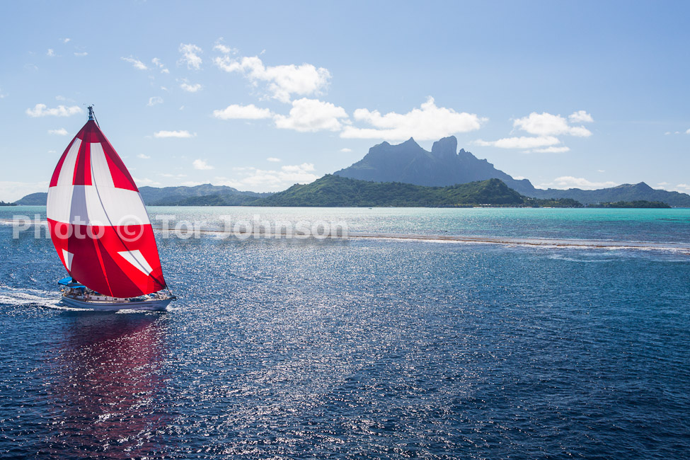 Image Name: N40A7264