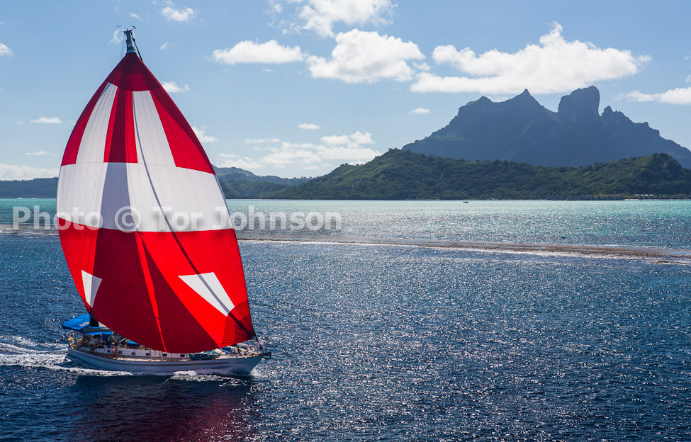 Image Name: N40A7266