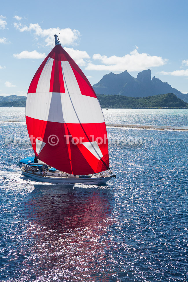 Image Name: N40A7269