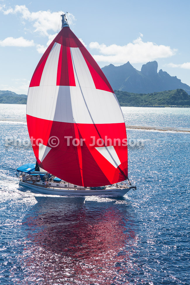 Image Name: N40A7270