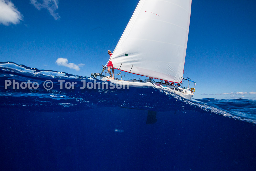 Image Name: N40A7336