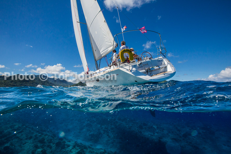 Image Name: N40A7377