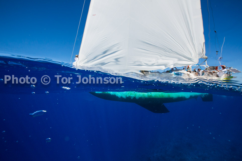 Image Name: N40A7381