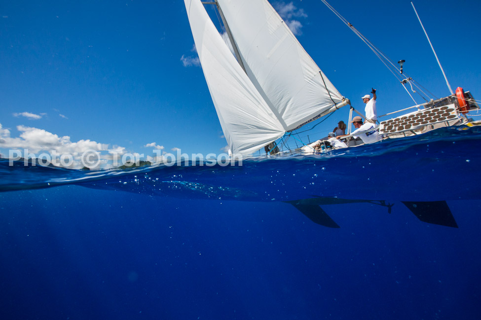 Image Name: N40A7390